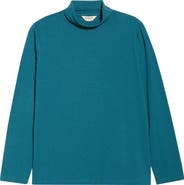Seasalt Cornwall Landing Turtleneck Stretch Organic Cotton Top