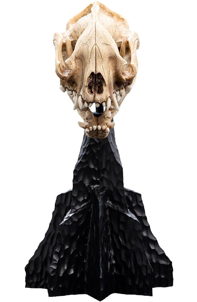 Weta Workshop Lotr Trilogy - Skull Of A Warg Miniature, Main, color, 