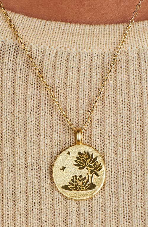 Little Sky Stone Birth Flower Necklace In Gold
