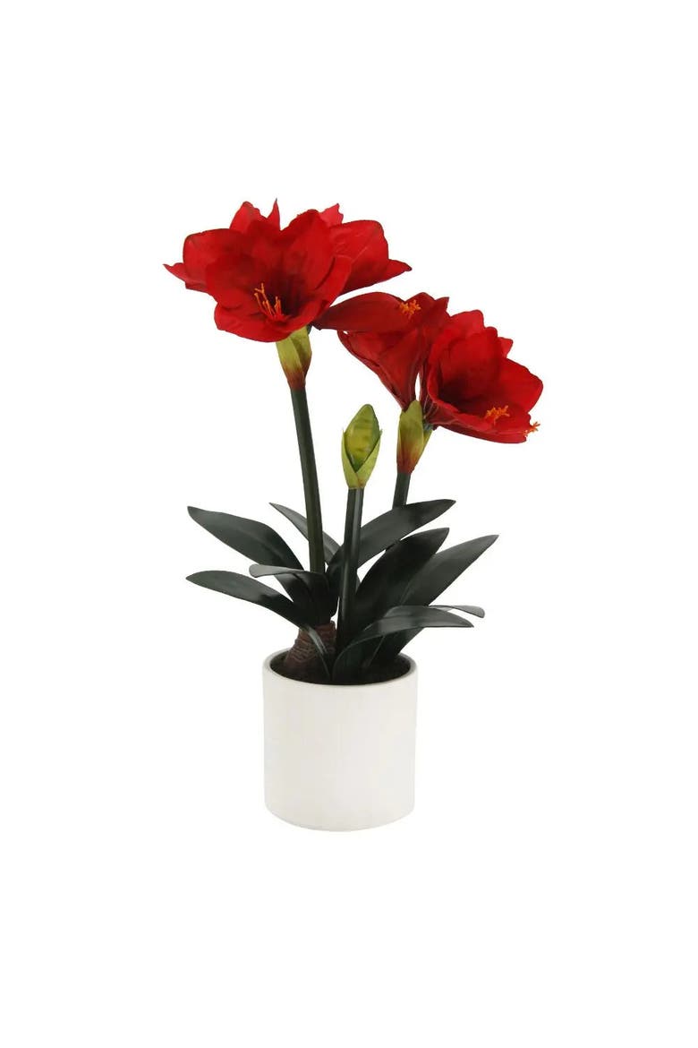 24" Red Amaryllis Arrangement in White Pot, Main, color, Red