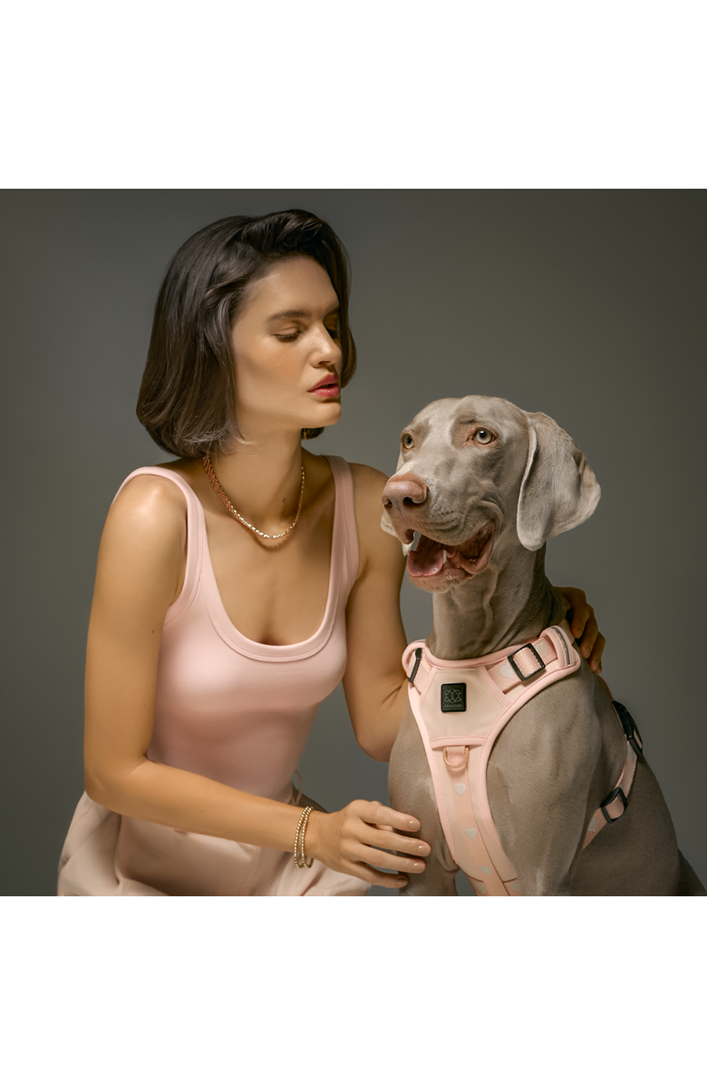Dogistry The NoMad Adjustable Luxe Harness, Alternate, color, Sweetheart