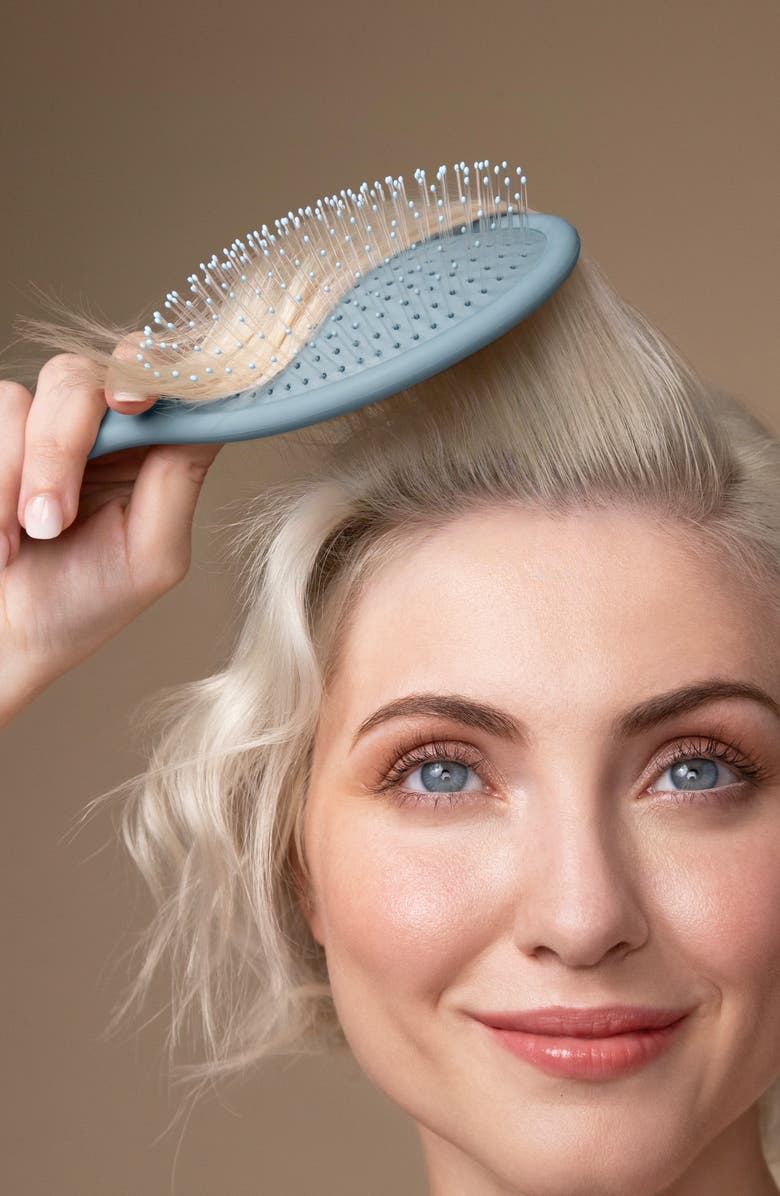 Kitsch Wet/Dry Brush, Alternate, color, Haze Blue