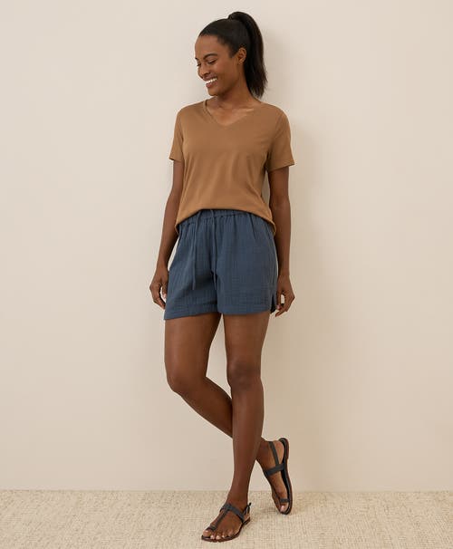 Pact Organic Cotton Softspun V-neck Tee In Brown
