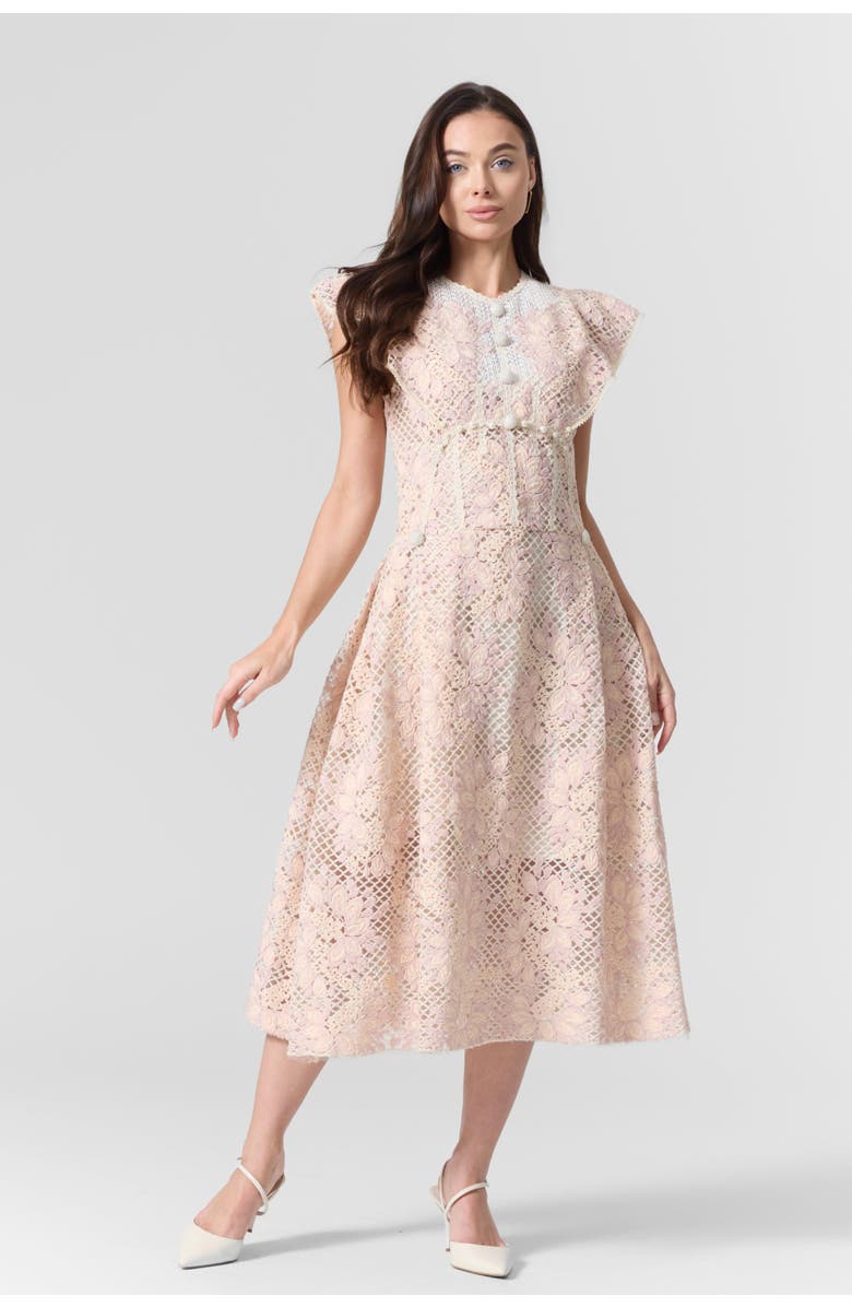 Le Fafo Pink Lace Embroidered Midi Dress, Alternate, color, Light Pink