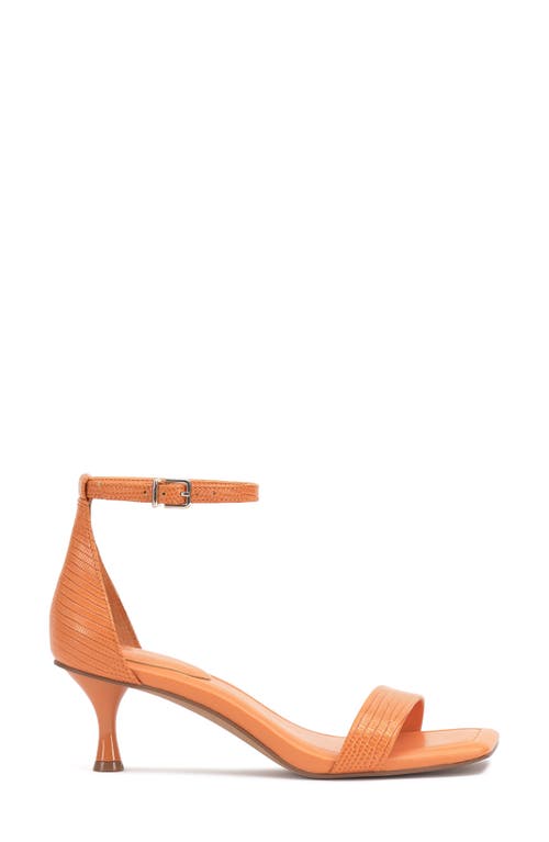 Vince Camuto Vinkely Square Toe Kitten Heel Sandal In Mandarino