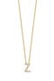  18K Yellow Gold - Z