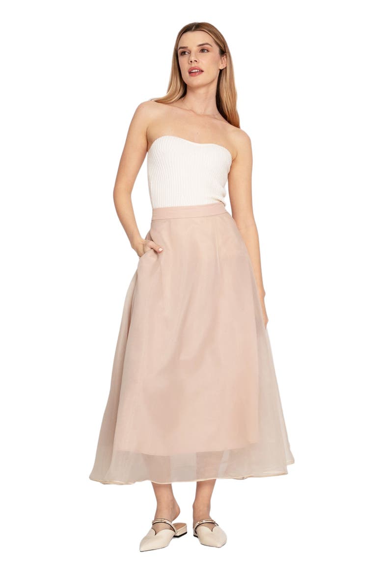 Make My Dreams Ballet Skirt, Main, color, Dusty Rose