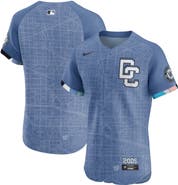 Nike Men's Nike Blue Washington Nationals 2025 City Connect Elite Jersey