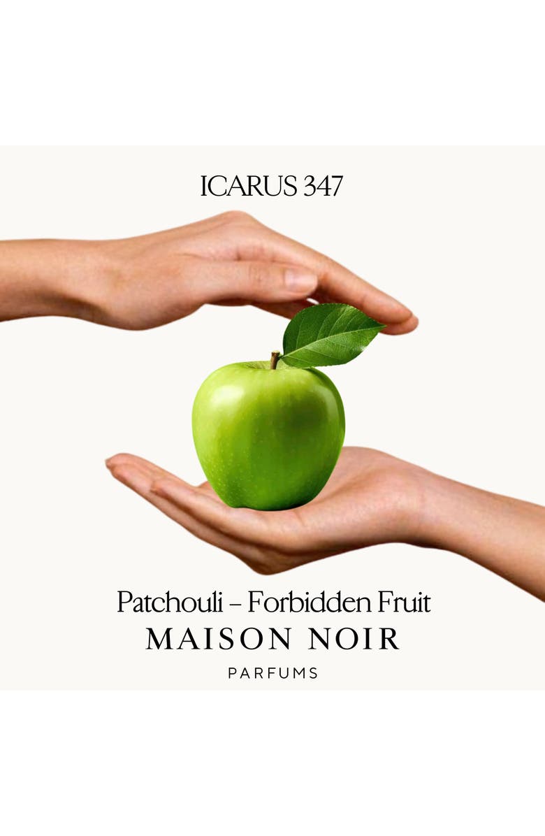 MAISON NOIR Icarus 347, Alternate, color, NO COLOR