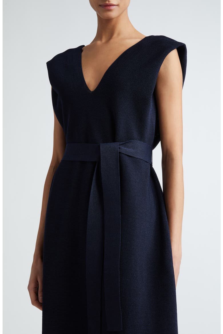 Washi Belted Sleevless Dress, Alternate, color, BLACK-NAVY