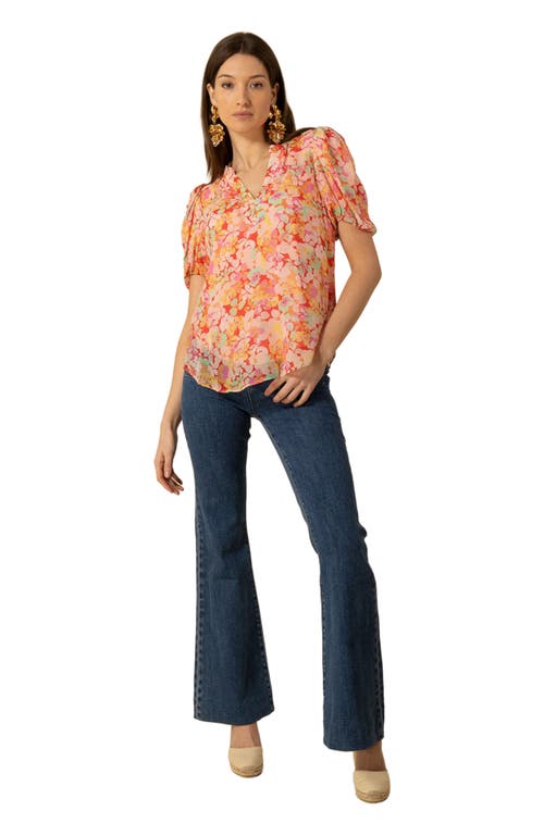 Hale Bob Ana Georgette Top in Orange  product