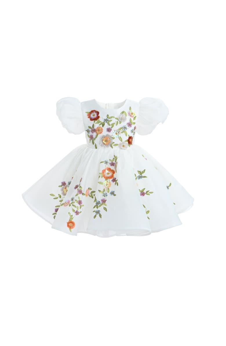 Tulleen Embroidered Puff Sleeve Dress, Alternate, color, White