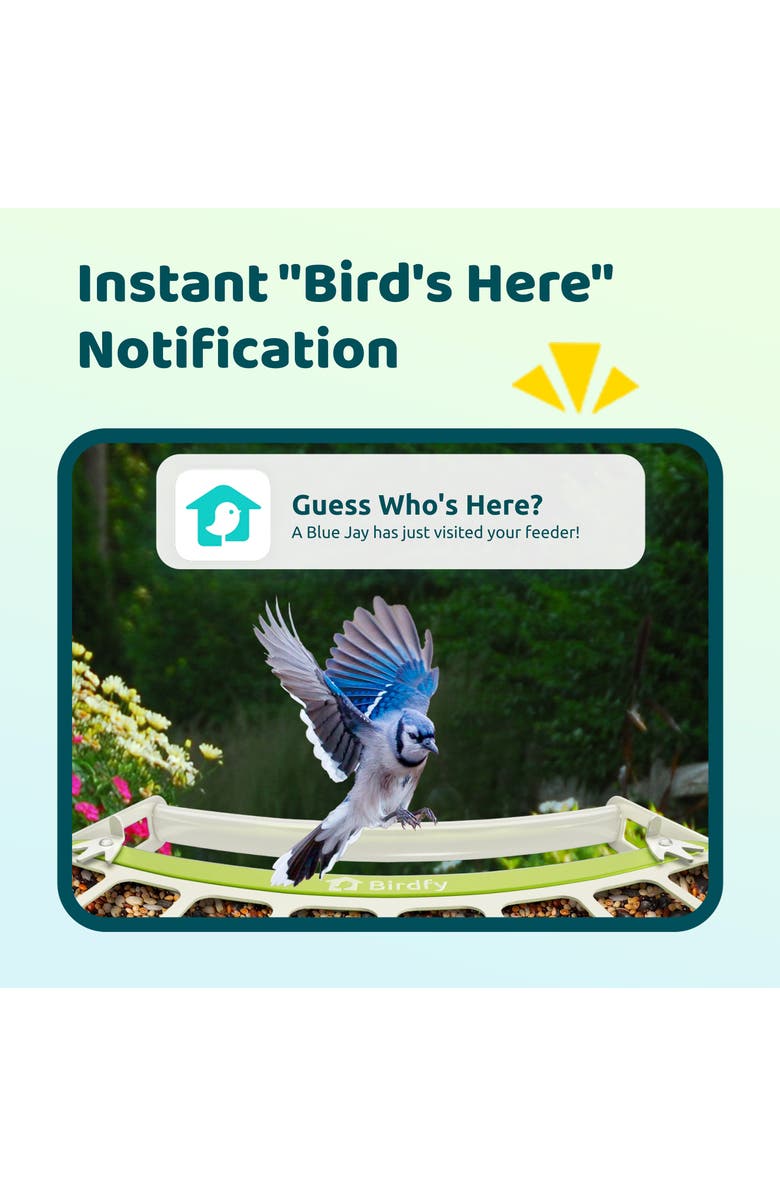 Birdfy Smart Metal Bird Feeder Lite with Camera, Alternate, color, Green