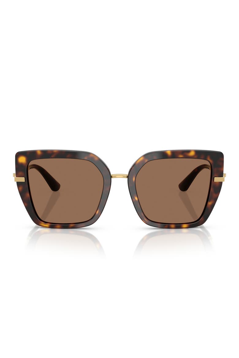 53mm Butterfly Sunglasses, Main, color, HAVANA
