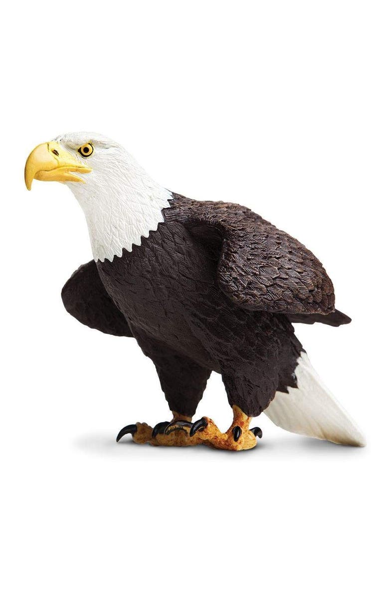 Safari Ltd. Bald Eagle Toy, Main, color, NO COLOR