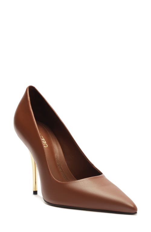 Arezzo Emily Pointed Toe Pump In Brown