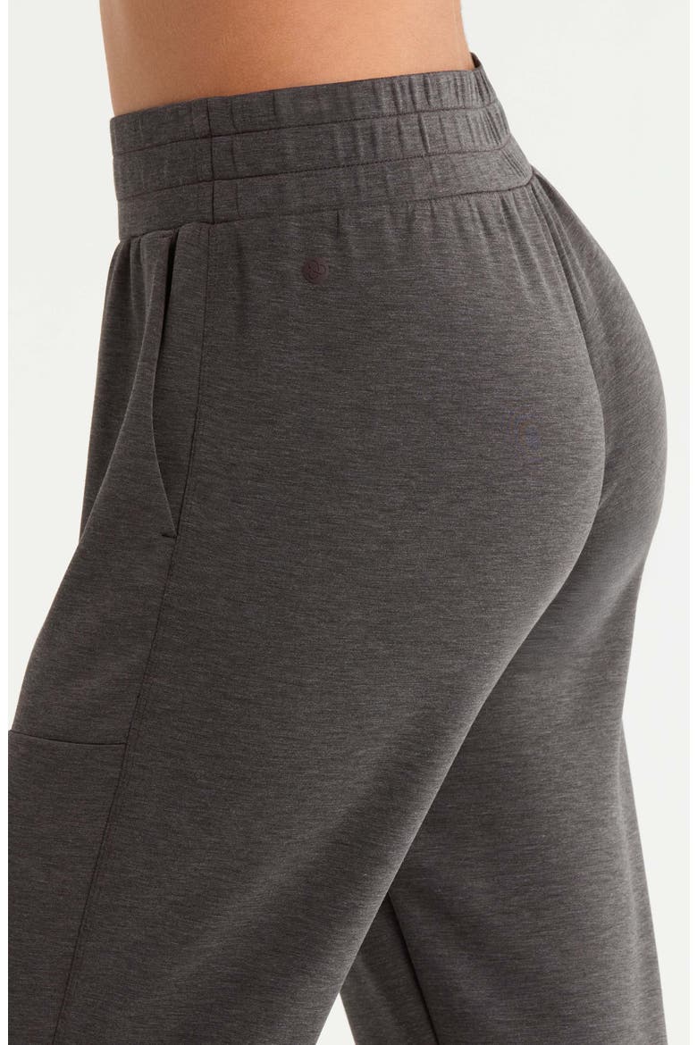 Ultra Soft High Waist Joggers, Alternate, color, BROWN MOLE HEATHER