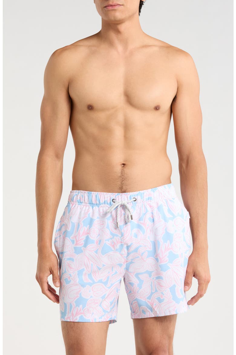 Seersucker Printed Volley Swim Shorts, Main, color, BLUE