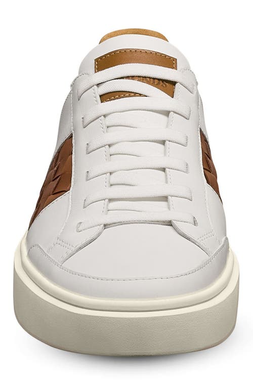 Allen Edmonds Oliver Woven Panel Sneaker In Brown