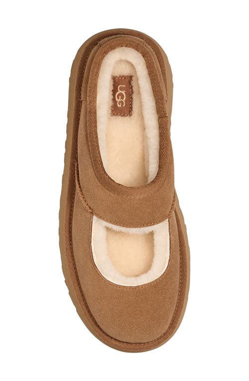 Shop Ugg(r) Bea Genuine Shearling Lined Platform Mary Jane In Chestnut