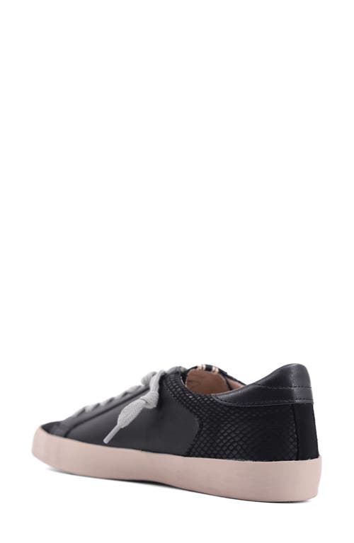 Shushop Rebel Sneaker In Black