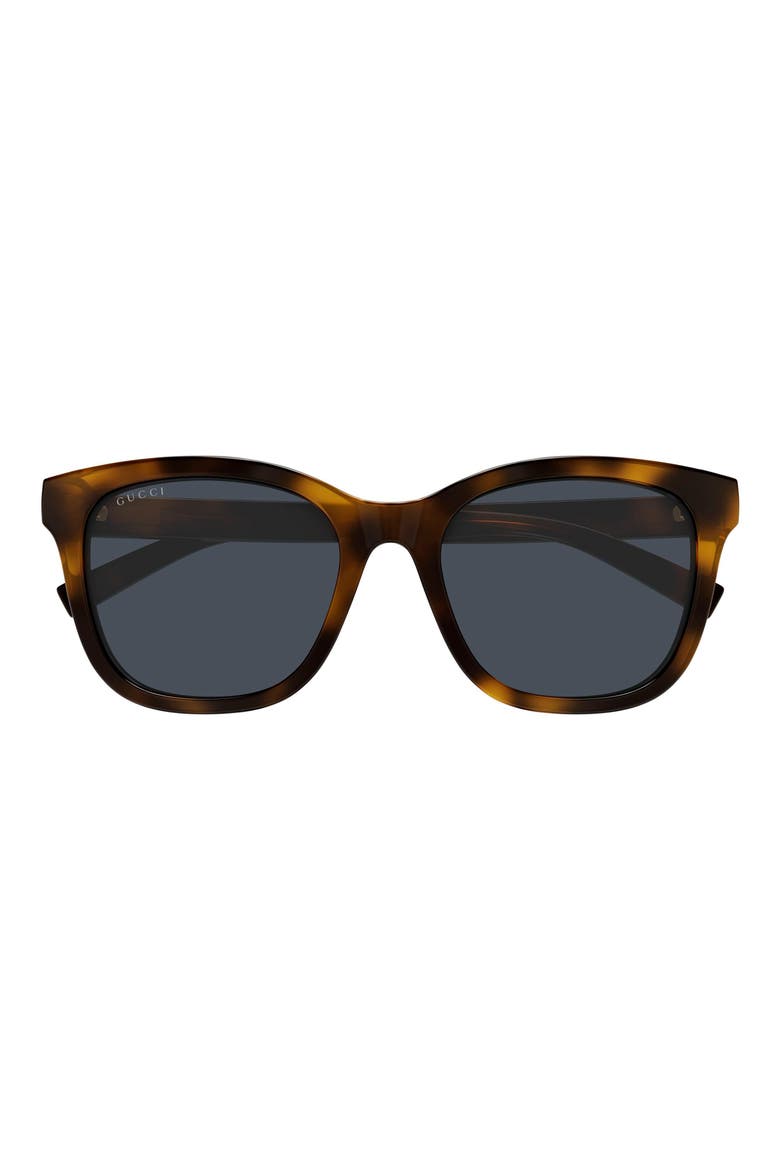 55mm Panthos Sunglasses, Main, color, HAVANA