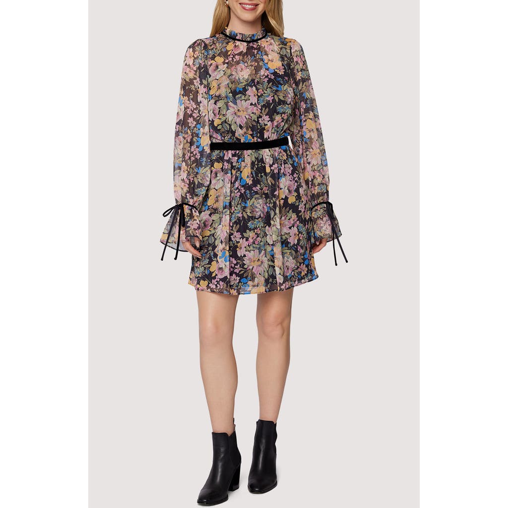 Lost + Wander Sweet Meadown Floral Long Sleeve Minidress In Multi