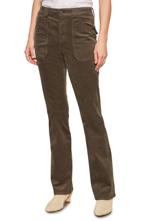 Sanctuary Hayden Bootcut Corduroy Pants In Brown