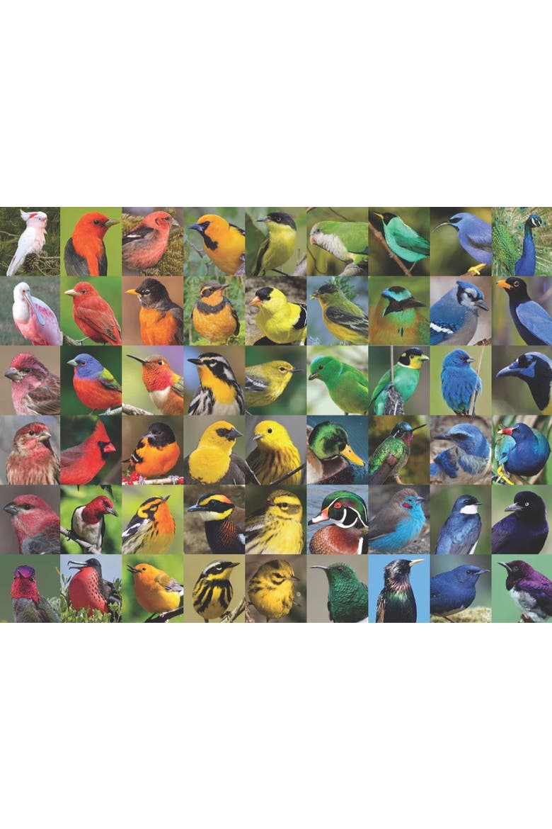 Rainbow of Birds 1000 Piece Puzzle, Alternate, color, No Color
