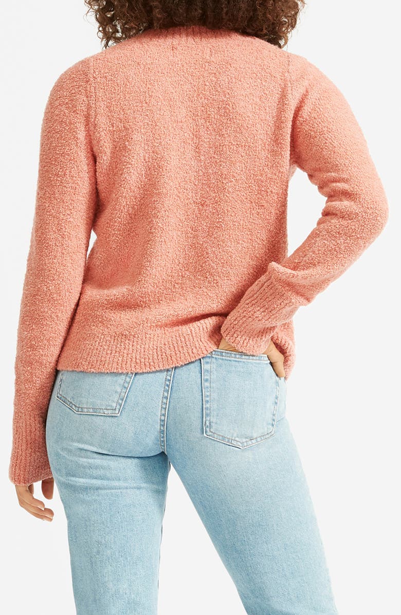 Everlane The Teddy Wool Blend V-Neck Sweater, Alternate, color, 