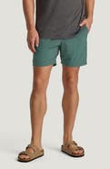 Free Fly Breeze Shorts