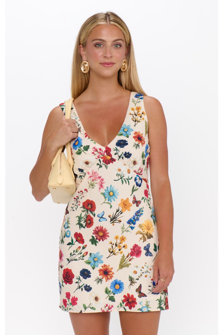 Emily Mini Dress, Alternate, color, French Floral