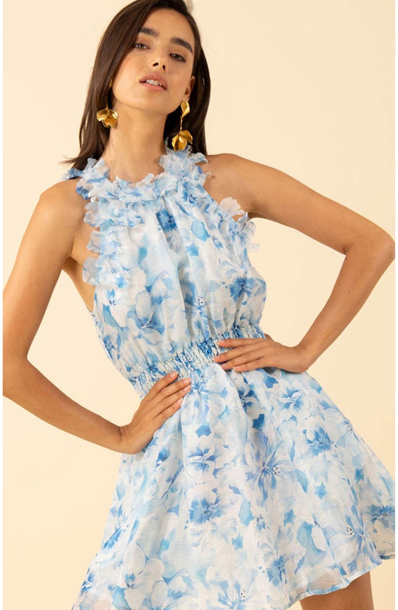 Hale Bob Nala Organza Floral Dress, Alternate, color, 