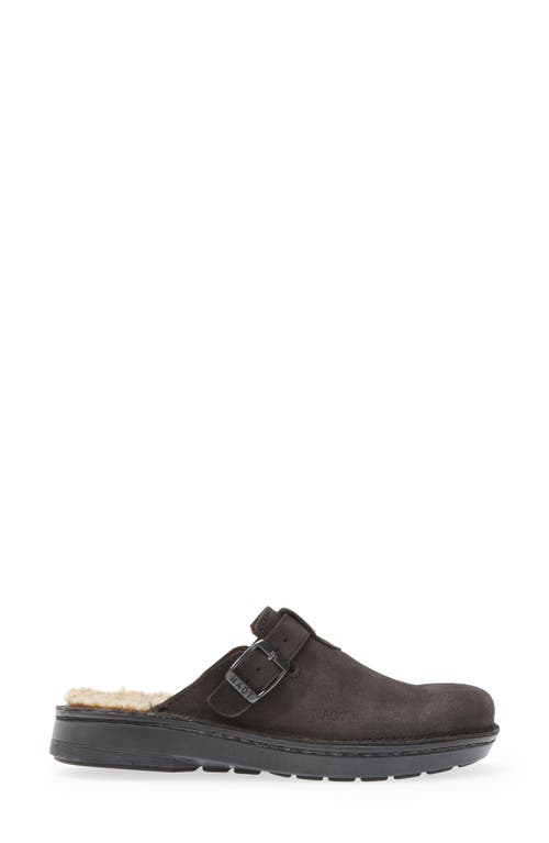 Naot Martos Faux Shearling Mule In Oily Midnight Suede