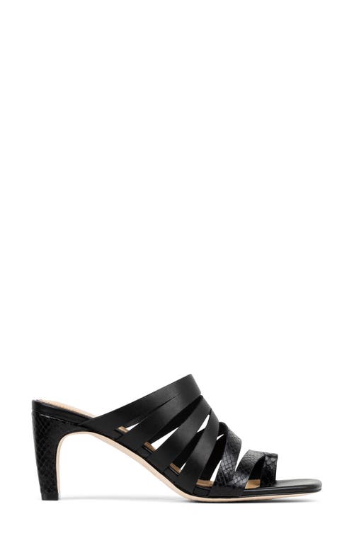 DONALD PLINER DONALD PLINER HAVANNA SANDAL