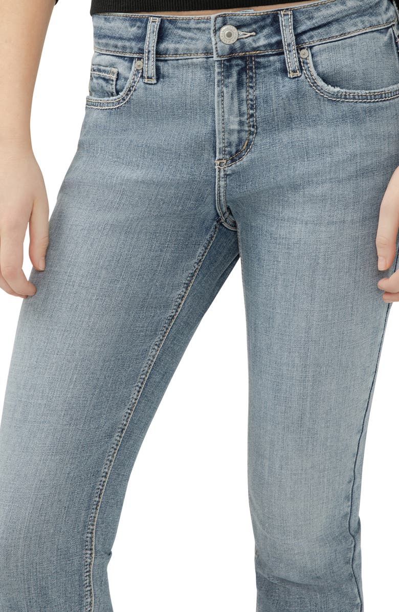 Silver Jeans Co. Elyse Slim Straight Leg Jeans, Alternate, color, Melville