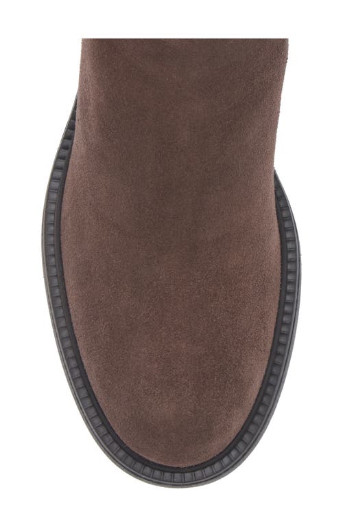 Tod's Gomma Suede Ankle Boots In Multi