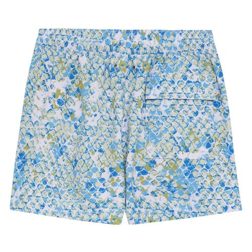 Shop Le Club Resortwear 4.25" Le Club 4 Way Stretch Mens Swim Trunk In White/blue