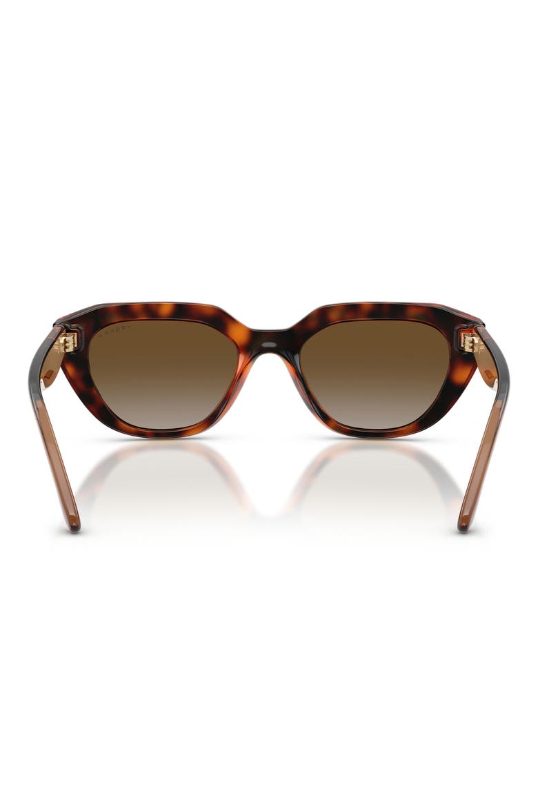 51mm Polarized Cat Eye Sunglasses, Alternate, color, DARK HAVANA / BROWN POLAR