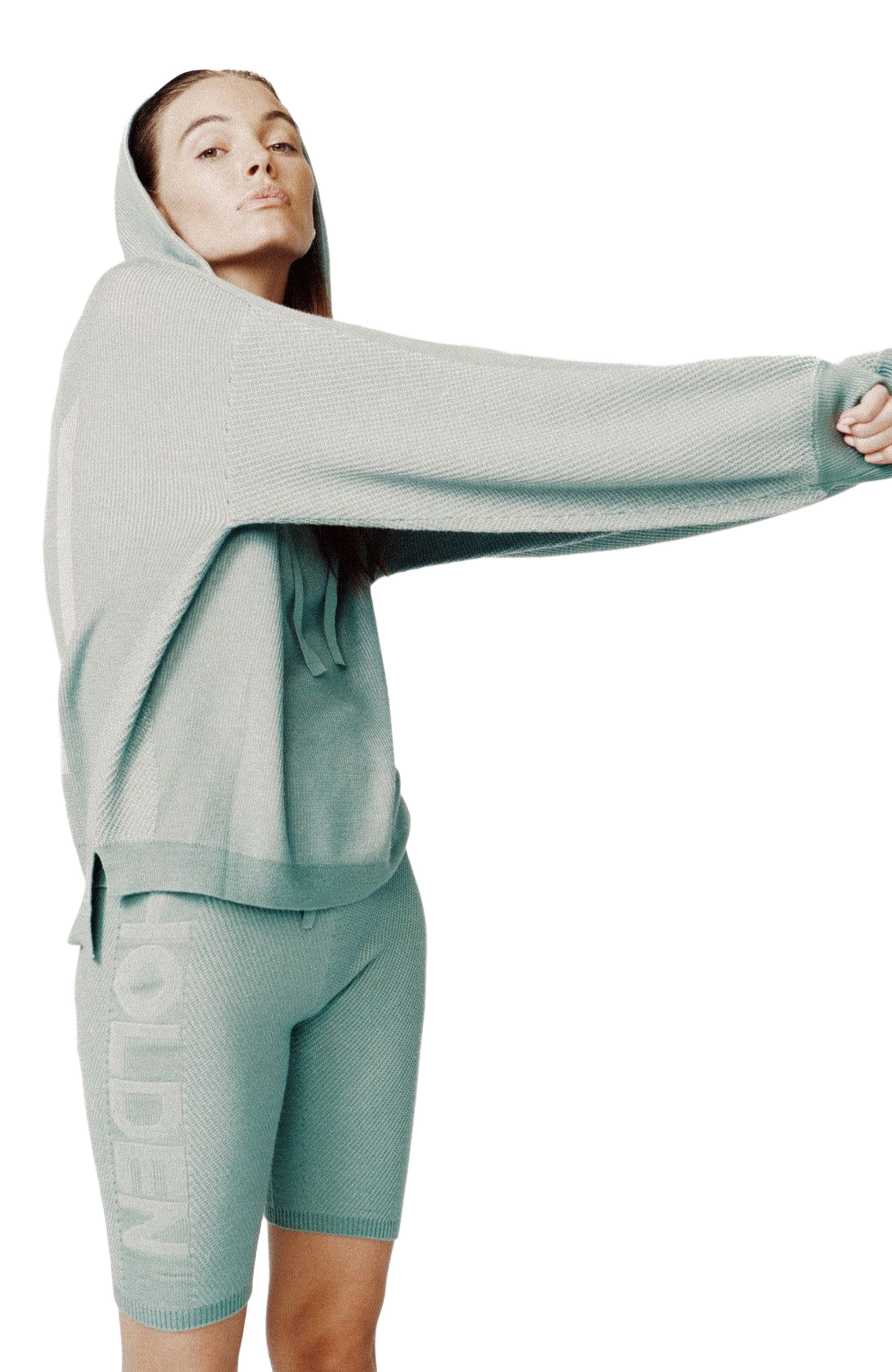 Holden Outerwear Icon Hoodie in Sage 