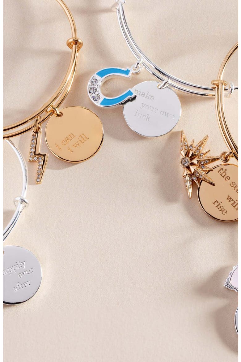 Wild At Heart Duo Charm Bangle Bracelet, Alternate, color, Silver