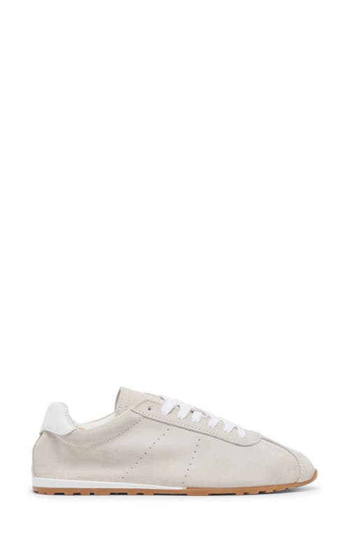Dolce Vita Serina Sneakers Ivory Suede In Gray