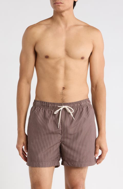 Bailey Pinstripe Swim Trunks