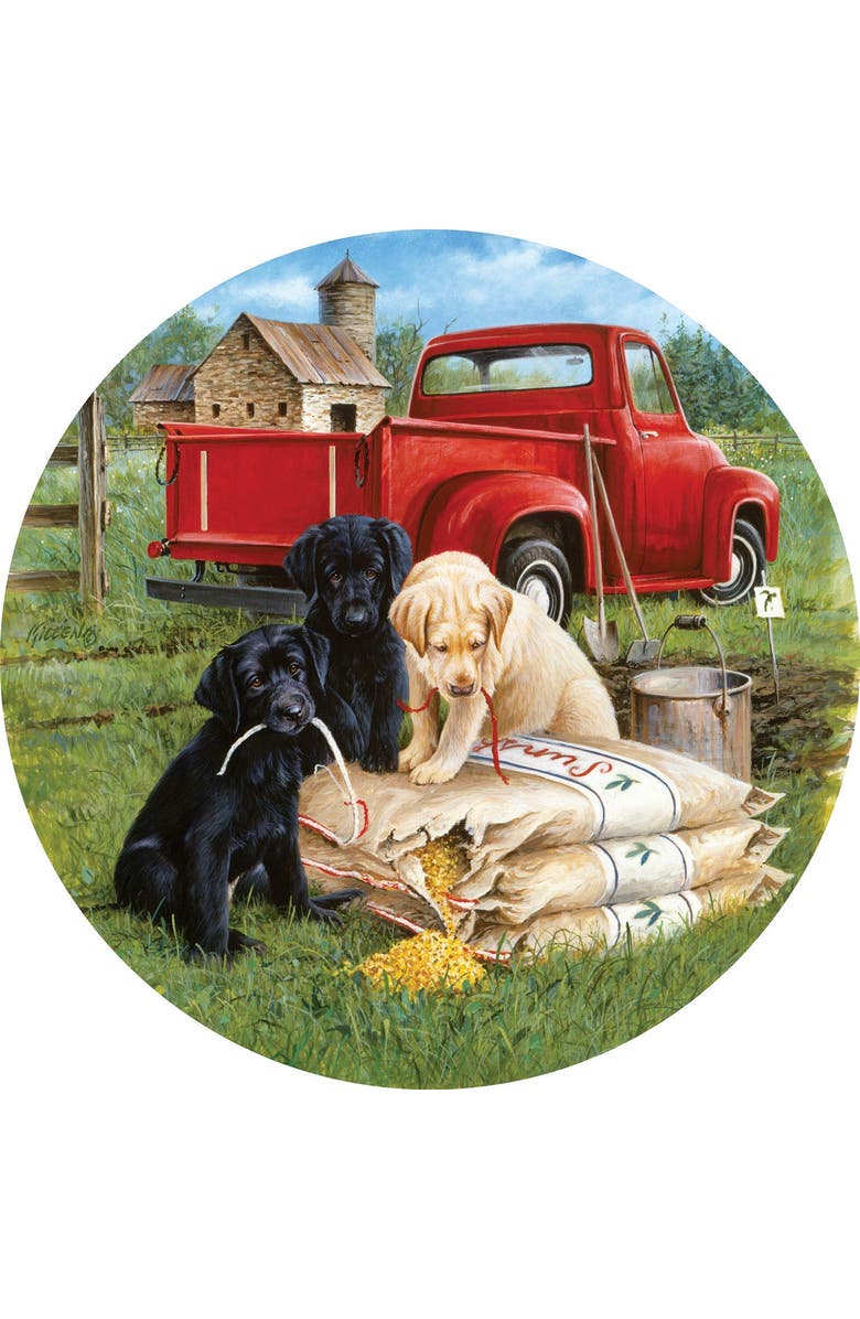 Sunsout Seeds of Mischief 500 piece Jigsaw Puzzle for Adults Round, Alternate, color, Multicolor