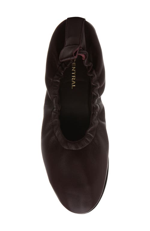 275 Central Vanna Flat In Burgundy