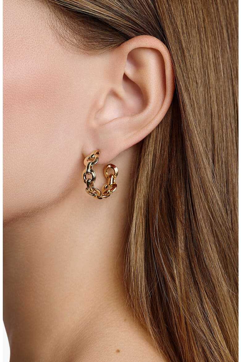 Circle Link Huggie Hoop Earrings (Nordstrom Exclusive), Alternate, color, YELLOW GOLD