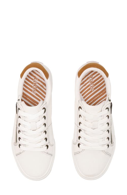 Taos Z-soul Platform Sneaker In Multi