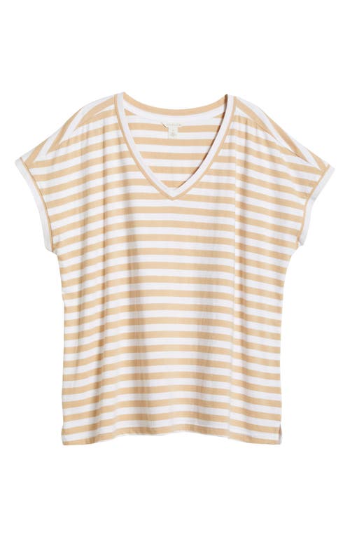 CASLON CASLON® STRIPE V-NECK COTTON T-SHIRT 