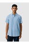 selected Blue Irregular Stripe