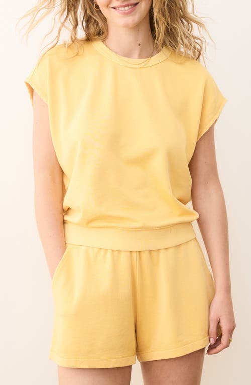 Marine Layer Cloud 9 Terry Dolman Top